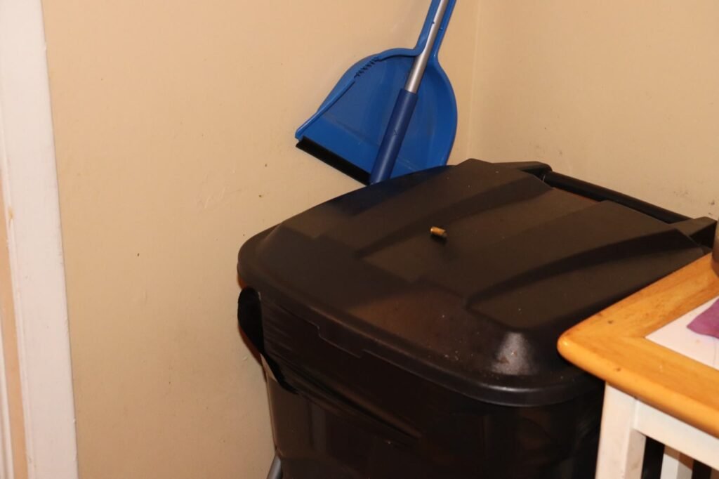 A spent 9mm casing on the lid of the kitchen trash can